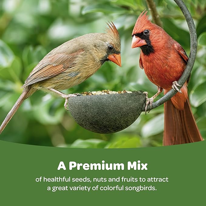 Kaytee Ultimate Nut and Fruit Wild Bird Food for Cardinals, Finches, Chickadees, Nuthatches, Woodpeckers, Grosbeaks, Juncos, 9.75 lb