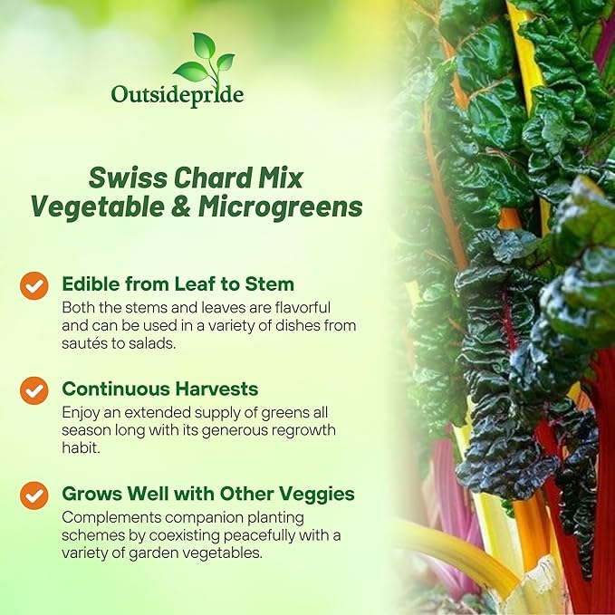 Outsidepride Mix Swiss Chard Seeds for Planting Vegetables & Microgreens - 2000 Pcs Vibrant, Tasty & Highly Nutritious Biennial Vegetable Seeds for Garden Beds, Borders, & Containers