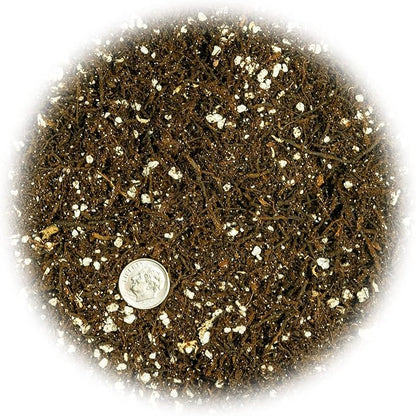 Gardenera Fern + Perlite Soil Mix for Repotting and Planting Succulents and Cactuses - 2 Quart Bag