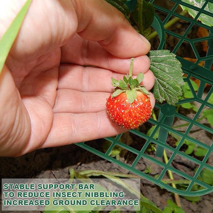 5 Pack Strawberry Plant Support Square Strawberry Supports for Garden Green Holder Plastic Stand with 4 Sturdy Legs Risers Growing Racks Frame