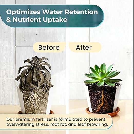Succulent Fertilizer Pellets 13-11-11 Slow Release | Fertilizer for Succulents, Cactus & Indoor Plants | Plant Fertilizer for Seedlings & Mature Plants | Gardening Essentials, 5.2 oz Resealable Bag