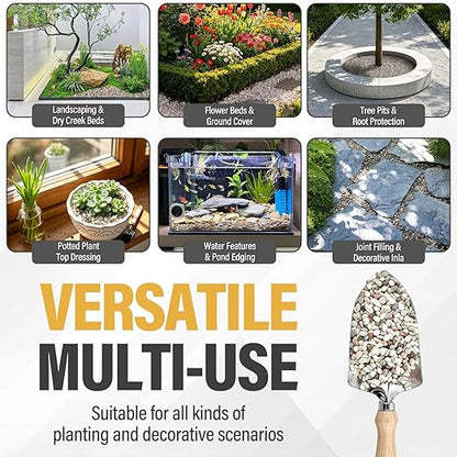 2.4lb Succulent and Cactus Gravel Pebbles, 1/5 Inch Mixed Color Natural Rocks for Fish Tank, Indoor Plants, Aquarium, Vases, Landscaping