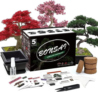 5 Bonsai Tree Kit Complete Plant Growing Tools, Grow in Pot Indoor Bonsai Tree Starter Kit