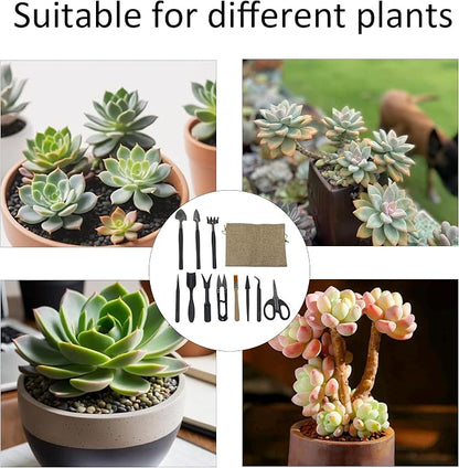 13Pcs Succulent Tools Set Mini Garden Tools Kit for Indoor Bonsai Cactus Care with Pruning Shears Scissors Transplanting Tools for Houseplant