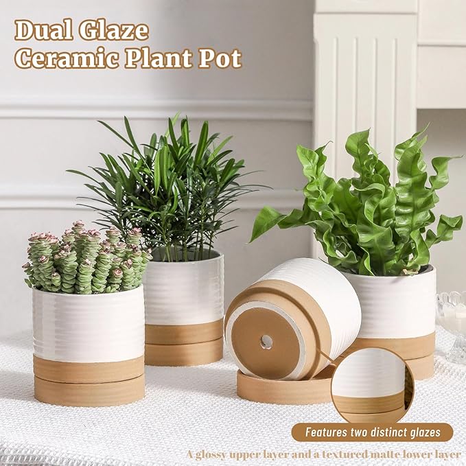 HASENSE Small Plant Pot, 4.6 Inch Ceramic Succulent Flower Pots with Drainage Hole and Tray, White Indoor Planter Pot for Cactus, Gardening Home Desktop Office Windowsill Decoration Gift, Set of 4