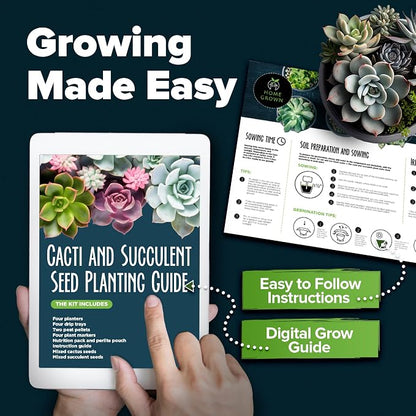 HOME GROWN Bonsai Tree Starter Kit – Unique Christmas Gift for Adults, Men, Women - Grow 4 Bonsais & HOME GROWN Succulent & Cactus Seed Kit for Planting