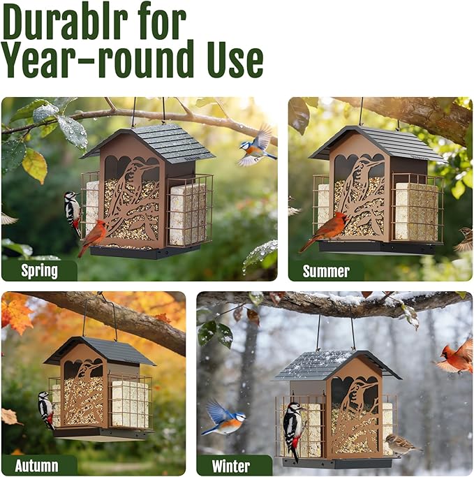 Birdream Bird Feeders for Outdoors, 5 Lbs Metal Bird Feeder with Double Suet Cages, 2 in 1 Mixed Seeds Suet Feeder, Large Capacity & Weatherproof Metal Roof, Attract Cardinals Wildbird Woodpecker