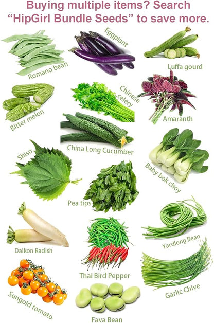 Bean Seeds for Planting Vegetables and Fruits. Pole Beans,Bush Beans,Romano Beans.Non GMO Garden Seeds for Home Vegetable Garden-Organic Bush Bean Mix 45ct+ Purple,Yellow&Green Bean Seeds, No Trellis