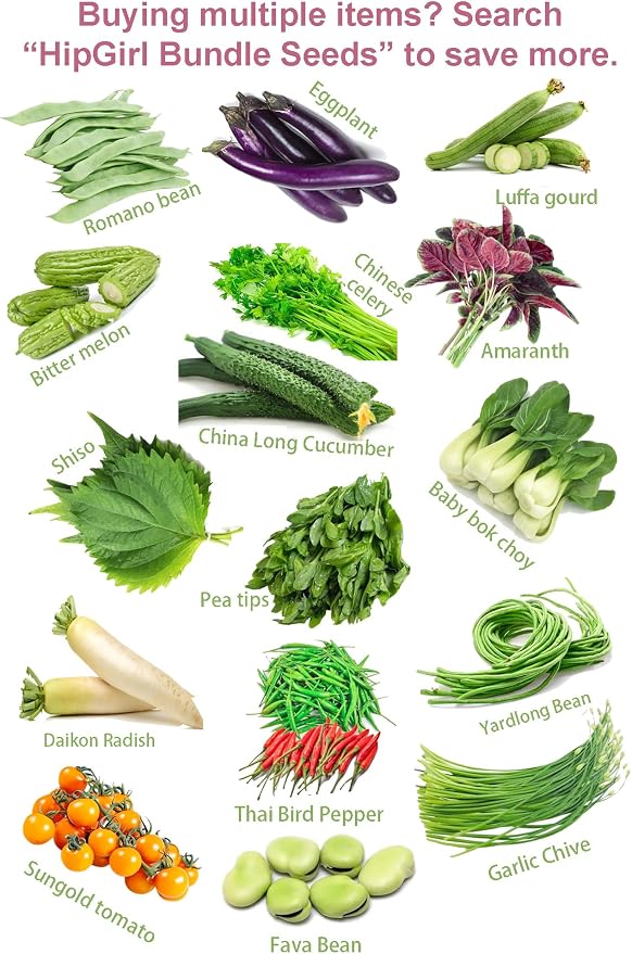 Bean Seeds for Planting Vegetables and Fruits.Pole Beans,Bush Beans,Romano Beans.Non GMO Garden Seeds for Home Vegetable Garden-6g,25ct+ Red Yard Long Pole Bean Seeds YardLong Asparagus Bean
