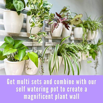 ShopLaLa Wooden Wall Hanging Planter - 2 Pack Wall Plants Holder for Flower Pot Indoor Outdoor Large Rustic White Wood Vertical Herb Garden System Boho Countryside Theme Decor 47.2" (120cm)