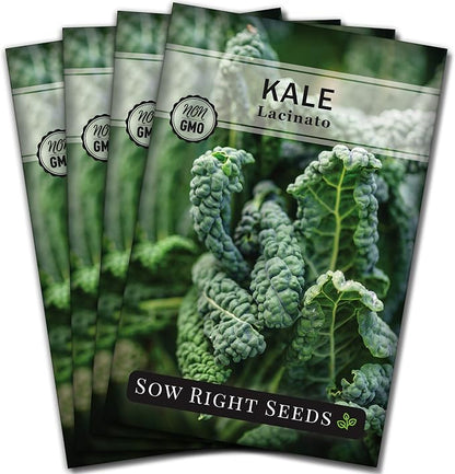 Sow Right Seeds - Lacinato Kale Seed for Planting - Non-GMO Heirloom Packet with Instructions to Plant a Home Vegetable Garden - Very Nutritious Superfood, Grow This Dinosaur Variety (4)