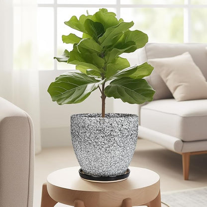Ceramic Planter - 6.3 Inch Plant Pot for Indoor Ourdoor Plants, Round Succulent Planter, Decorative Flower Pots with Drainage Hole and Saucer, Home Desk Decor, Housewarming Gifts, White-black