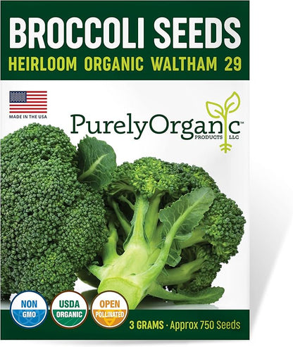 Purely Organic Broccoli Seeds (Waltham 29) - Approx 750 Seeds - USDA Organic, Non-GMO, Open Pollinated, Heirloom, USA Origin