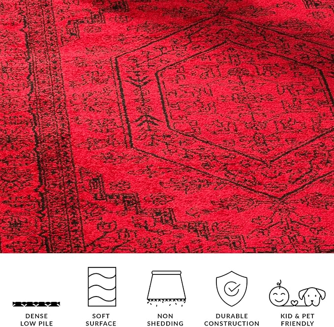 SAFAVIEH Adirondack Collection Accent Rug - 3' x 5', Red & Black, Oriental Medallion Design, Non-Shedding & Easy Care, Ideal for High Traffic Areas in Entryway, Living Room, Bedroom (ADR108F)