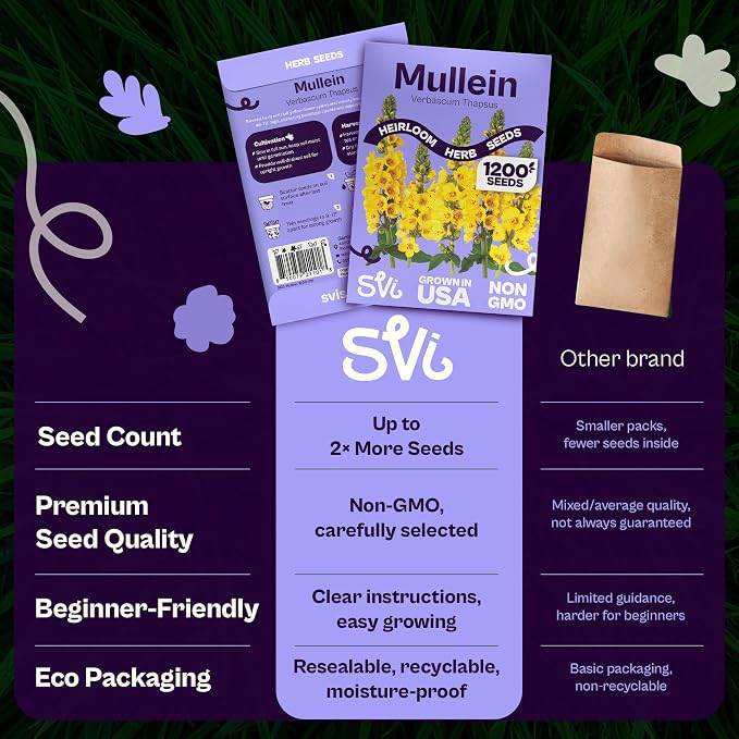 SVI 1200 Mullein Seeds for Planting (Verbascum thapsus) - Great Mullein, Heirloom Non GMO Herbs, 4-6 ft Spikes - Medicinal Herb Seeds for Flower and Herb Garden
