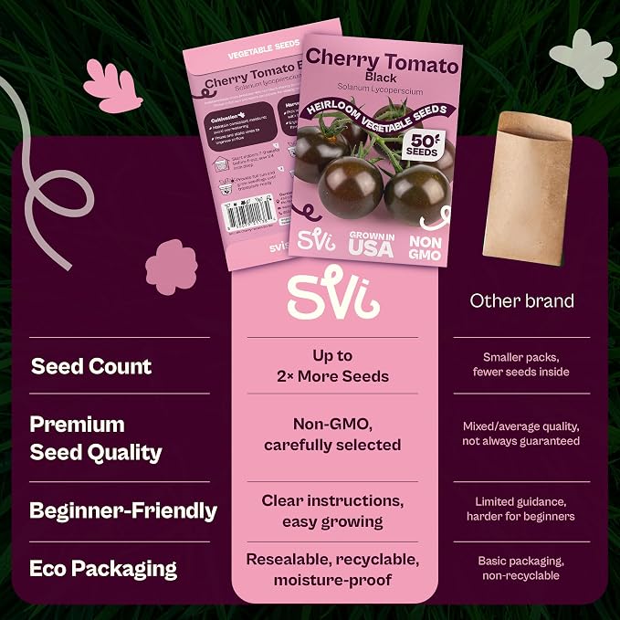 SVI 50 Black Cherry Tomato Seeds (Solanum Lycoperscium) - Black Cherry Tomatoes Seed Packets, Sweet Heirloom Tomato on Vine - Non GMO Vegetable Seeds for Outdoor & Indoor Garden, Containers