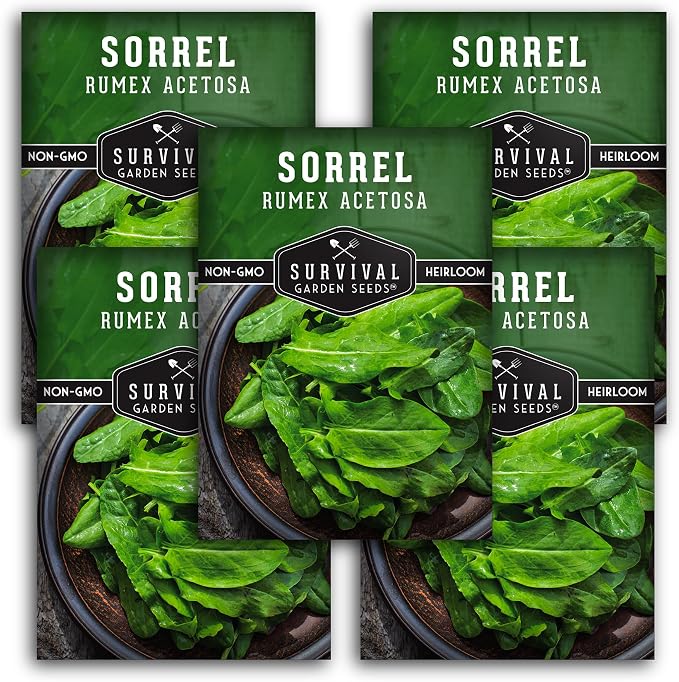 Sorrel Seeds for Planting - Large Leaf Garden Sorrel - Cool Weather Perennial Vegetable for Edible Leafy Greens - Heirloom Non GMO - Survival Garden Seeds (5 Packs)