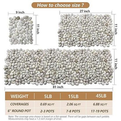 5LB White River Rocks, High Polished 1–2 inch Decorative Pebbles for Indoor Plants, Aquarium & Fish Tank Rocks, Garden Landscaping Stones, Vase Fillers, Lava Rocks for Plants & Pathway Decor