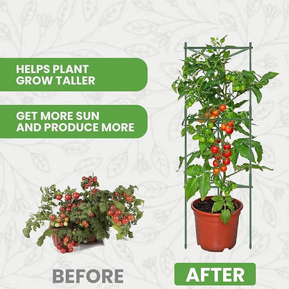 Tomato Cage - Large Trellis Stakes and Plant Support Structures for Vegetables and Climbing Plants - Tall Tomato Cages for Garden, Pots, Raised Garden Bed Outdoor Supplies (3 Pack - Up to 48")
