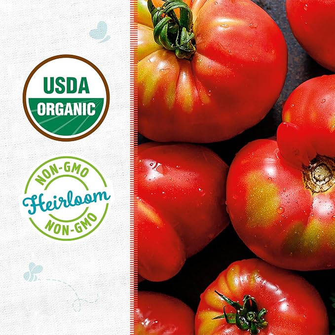 Back to the Roots 100% Organic Seed Packet - Tomato 'Brandywine Pink' 100mg