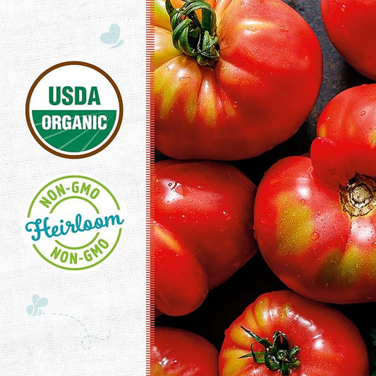 Back to the Roots 100% Organic Seed Packet - Tomato 'Brandywine Pink' 100mg