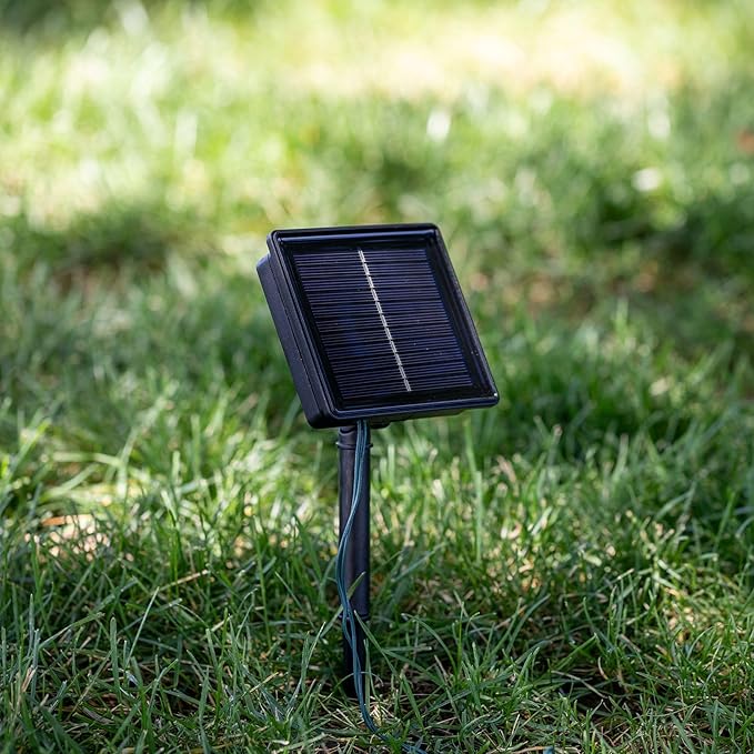Novelty Lights 100 Light Solar Powered LED Outdoor Mini Light String, 50 Feet on Green Wire, Pure White 5mm Bulbs, Automatic Dusk to Dawn Operation