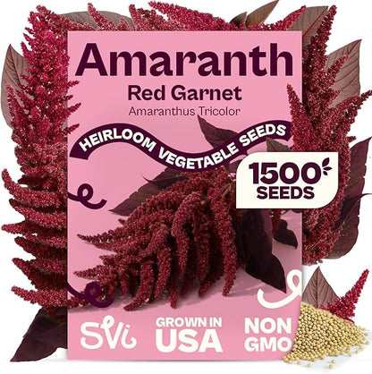 SVI 1500 Red Garnet Amaranth Seeds (Amaranthus Tricolor) – Josephs Coat Plant Seed Packets Bulk, Deep Red Amaranthus Flower – Heirloom Vegetable Seeds for Outdoor Garden, Vegetable Garden, Containers