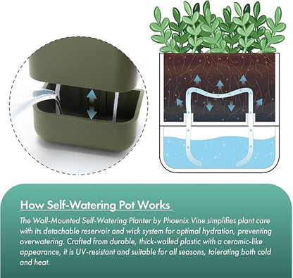 Phoenix Vine 6.5 Inch Wall Mounted Self-Watering Planter Pot for Indoor Houseplants and Herbs | Hanging Planter for Window Sills, Bathroom Walls, Home & Office Décor, Olive, Set of 1, 01-C-F-1