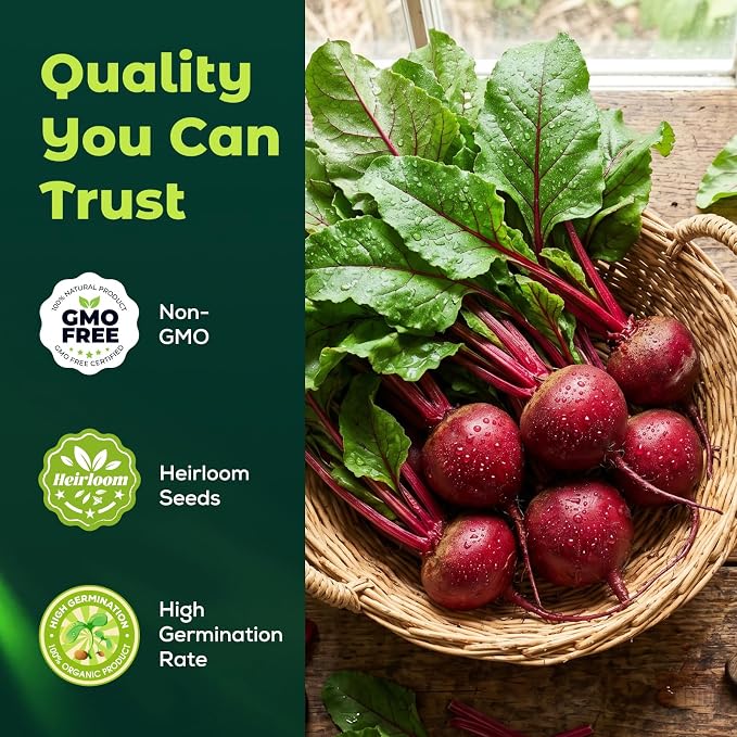 Detroit Dark Red Beet Seeds – 600 Heirloom Seeds for Planting, Open-Pollinated Garden Vegetable Root Seeds for Home Gardens