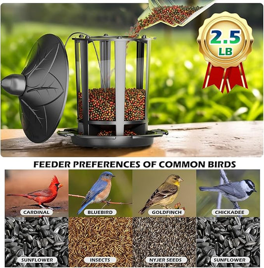 Birdream Bird Feeders for Outdoor Hanging, Assembly Required, 1-Min Easy Setup, Charming Castle Design, Attracting Cardinals Chickadees Goldfinches & Sparrows - Black