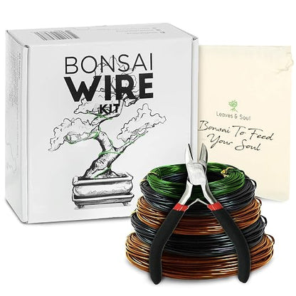 Bonsai Wire Kit 160ft with Cutter & Canvas Bag| 5 Rolls Aluminum Bonsai Training Wire Set for Tree Shaping| Bonsai Tools, Plant Training Wire, Bonsai Starter Kit Supplies for Beginners & Professionals