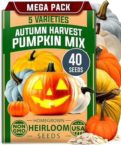 HOME GROWN Non GMO 5 Pumpkin Seeds Mix - 40 Seeds Heirloom Pumpkin for Planting Ideal Garden for Unique Varieties Yellow Paris and Casper, Culinary and Decorative Use