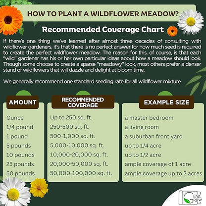 Regional Wildflower - Northeast USA Wildflowers - 100% Pure Seed - Organic, Non-GMO - 21 Wildflower Variety Seeds of Annual & Perennial, 1 LB Tub