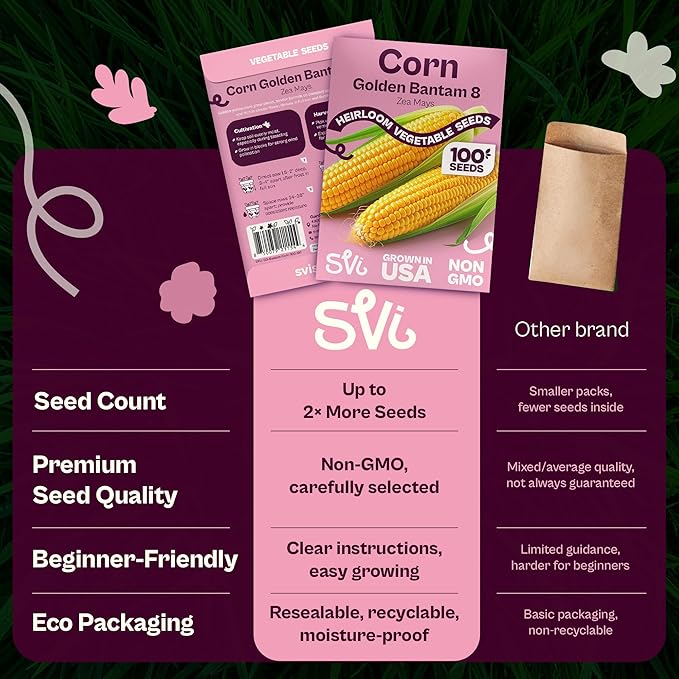 SVI 100 Golden 8 Bantam Corn Seeds (Zea mays) – Yellow Sweet Corn Seed Packets, Early Maturing Maiz – Non GMO Heirloom Vegetable Seeds for Outdoors, Vegetable Garden Rows