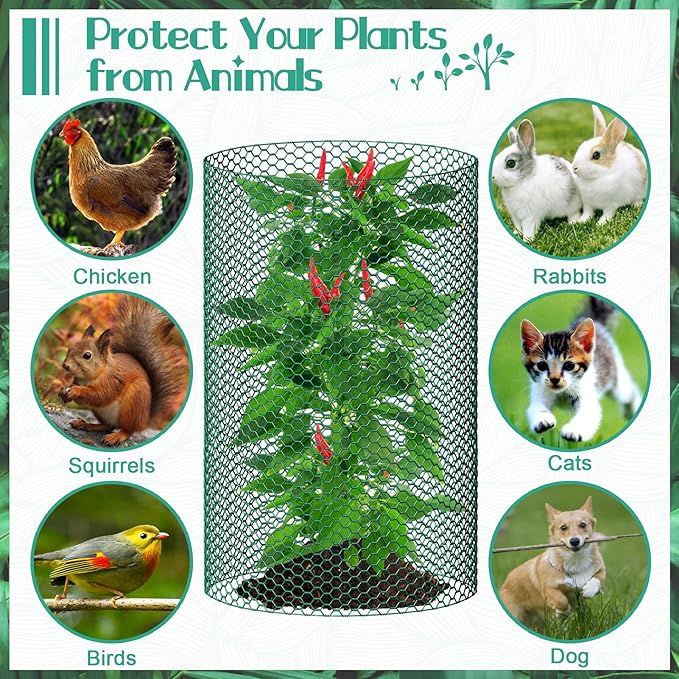 32.8ftx20In Plant Protectors from Animals,Plant Cages for Outdoor Plants,Wire Plant Protector Cage,Wire Plant Protector,Chicken Wire Cloche with Ground Stakes & Nylon Ties Protect Plants from Animals