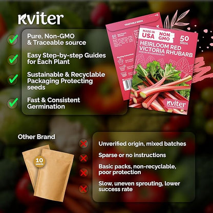 KVITER 50 Red Victoria Rhubarb Seeds for Planting (Rheum Rhabarbarum) – Heirloom Seeds, Perennial Vegetable Seeds – Perfect for Rhubarb Jam & Pies, Grow in Beds & Outdoor Garden