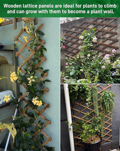2 Pack 35.4InchWooden Lattice Wall-Expandable Plant Garden Trellis for Climbing Plants Outdoor