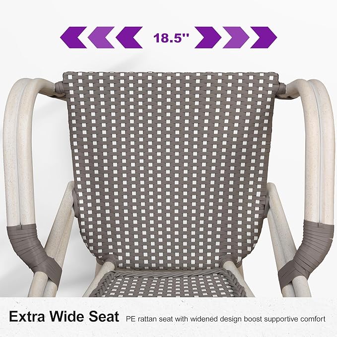 PURPLE LEAF French Bistro Chairs Set of 2 Aluminum Hand-Woven Rattan Wicker Dining Chairs with Arms for Outdoor Porch Garden White Print Finish Grey