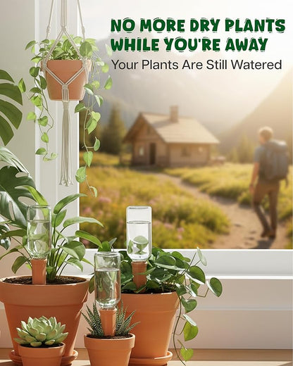 Plant Watering Devices, Self Watering Spikes, Self Watering Planter Insert, Terracotta Watering Spikes, Plant Watering Spikes, Vacation Plant Watering Devices, Water Plants While Away