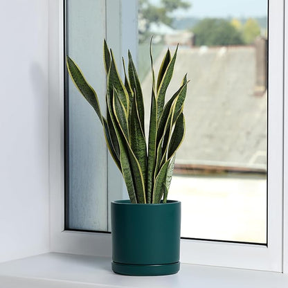D'vine Dev Set of 2 Plants Pots, 6 Inch Ceramic Planter Pot for Plants with Drainage Hole and Saucer, Teal, 94-V-C-9
