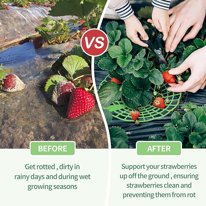 5 Packs Strawberry Supports - Reusable Strawberry Plant Stand Waterproof Growing Frame Plastic Fruit Tray Protectors Sturdy Strawberry Growing Racks to Keep Strawberries Off Mold, Rot and Dirt