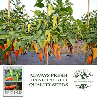 Hungarian Sweet Wax Pepper Seeds (Capsicum annuum) – 100+ Heirloom Non-GMO Seeds by Isla's Garden Seeds, Mild and Flavorful Peppers, Ideal for Fresh Eating, Pickling & Cooking, Great Gardening Gift