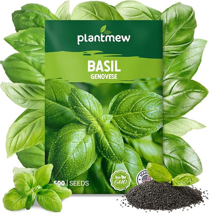 Genovese Basil Seeds for Planting - 500 Heirloom, Non-GMO Seeds - Genovese Basil Herb Seeds for Home Herb Garden, Indoor & Outdoor Herb Gardening