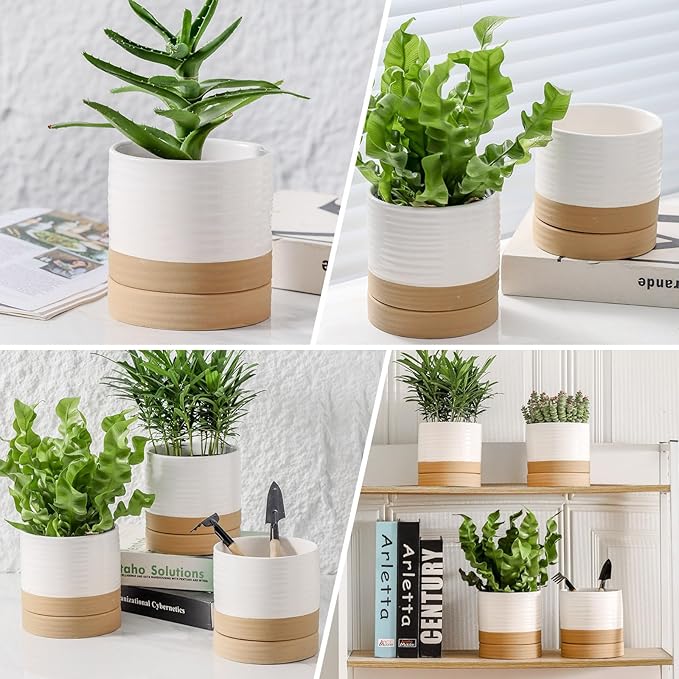 HASENSE Small Plant Pot, 4.6 Inch Ceramic Succulent Flower Pots with Drainage Hole and Tray, White Indoor Planter Pot for Cactus, Gardening Home Desktop Office Windowsill Decoration Gift, Set of 4