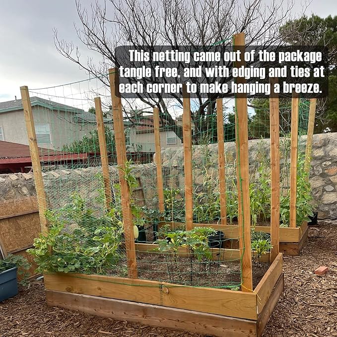 Trellis Netting, Heavy-Duty Garden Grow Netting for Climbing Plants, Outdoor Indoor Net for Cucumber, Tomatoes, Beans, Clematis, Fruits & Vegetables, Climbing Vining Plants (8.2' x 6.6'Ft)