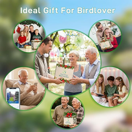 Smart Bird Feeder with Camera, 2K HD Video Outside Feeders with Solar Powered Panel, AI Identify 1,1000+ Birds for Outdoors Birdwatching Gifts, Blue
