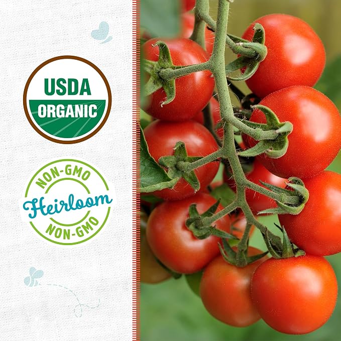 Back to the Roots 100% Organic Seed Packet - Tomato Red Cherry