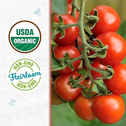 Back to the Roots 100% Organic Seed Packet - Tomato Red Cherry