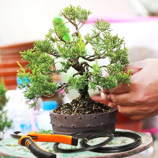 Mudder 5 Roll Aluminum Bonsai Training Wire Tree 1/1.5/2.0mm 160 Feet Total with Bonsai Wire Cutter Anodized Training for Holding Branches Small Trunks(Classic)