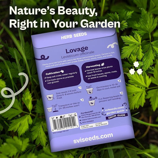 SVI 750 Lovage Seeds (Levisticum officinale) – Lovage Medicinal & Culinary Herb Seed Packets – Heirloom Perennial Herbs Seeds for Vegetable Garden Outdoor & Indoor Kitchen Herb Garden